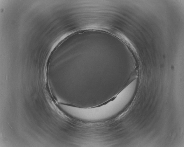 X0000085300892200703231855