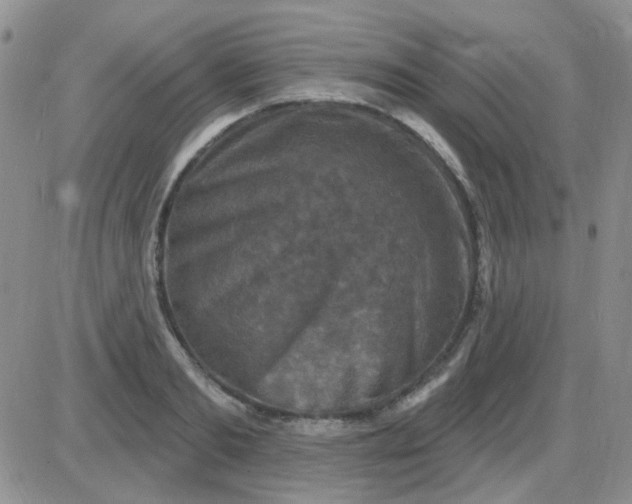 X0000085300893200703231855