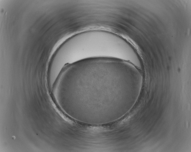 X0000085300894200703231855