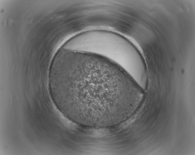 X0000085300895200703231855