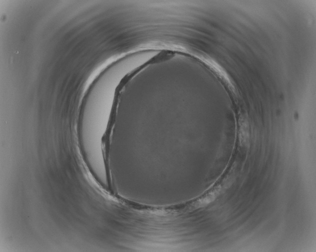 X0000085300896200703231855