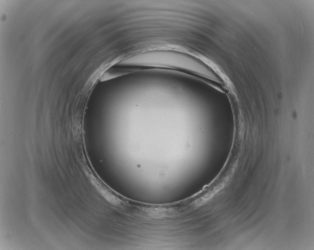 X0000085300897200703231855