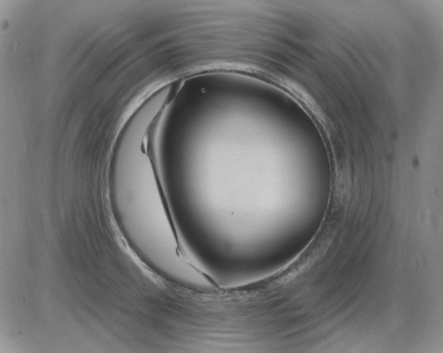 X0000085300898200703231855