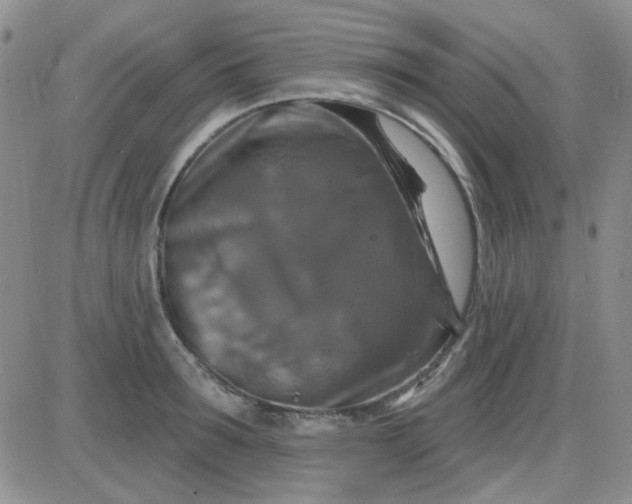 X0000085300899200703231855