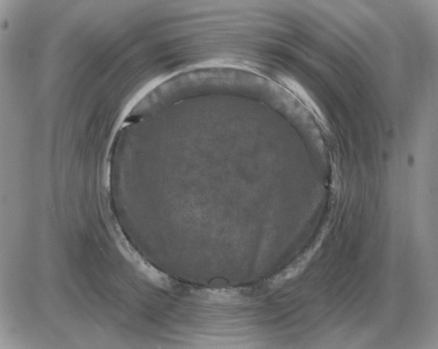 X0000085300900200703231855