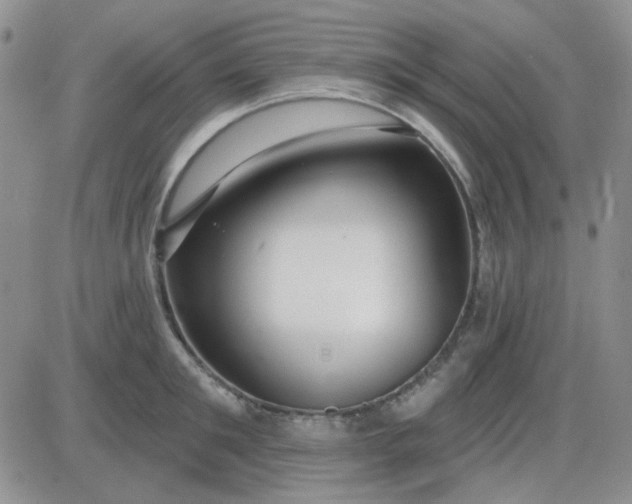 X0000085300901200703231855