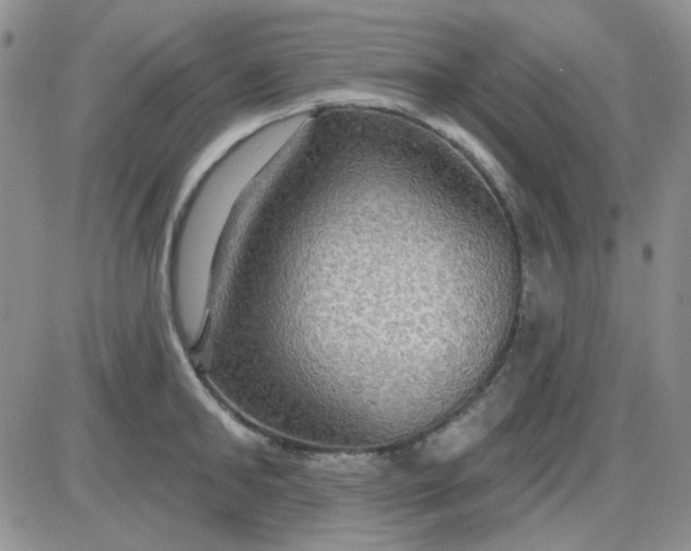 X0000085300902200703231855