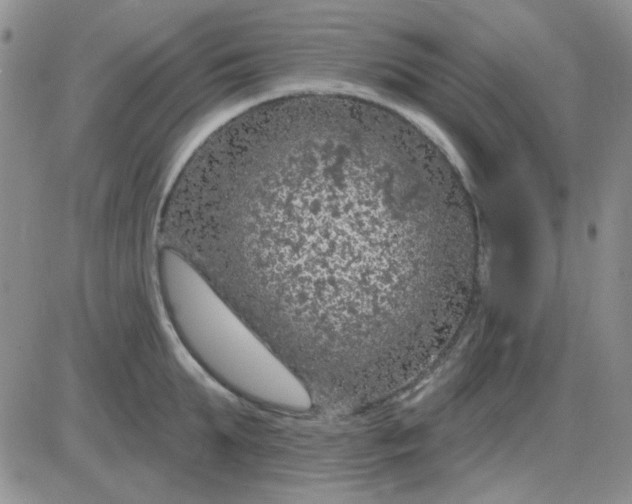 X0000085300903200703231855