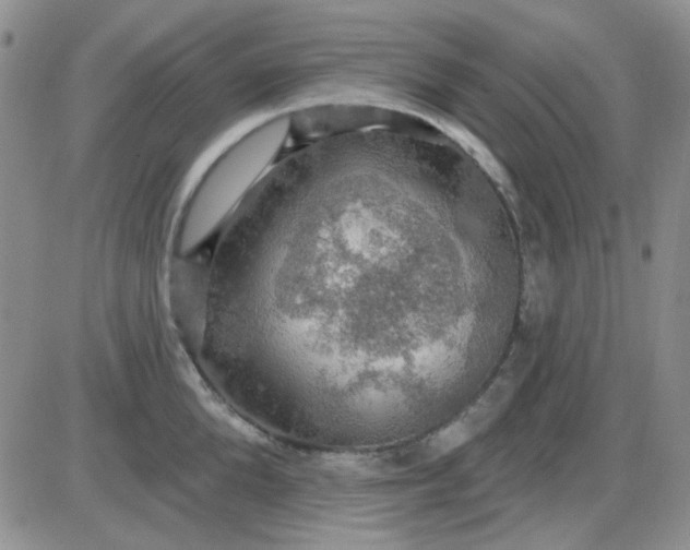 X0000085300904200703231855