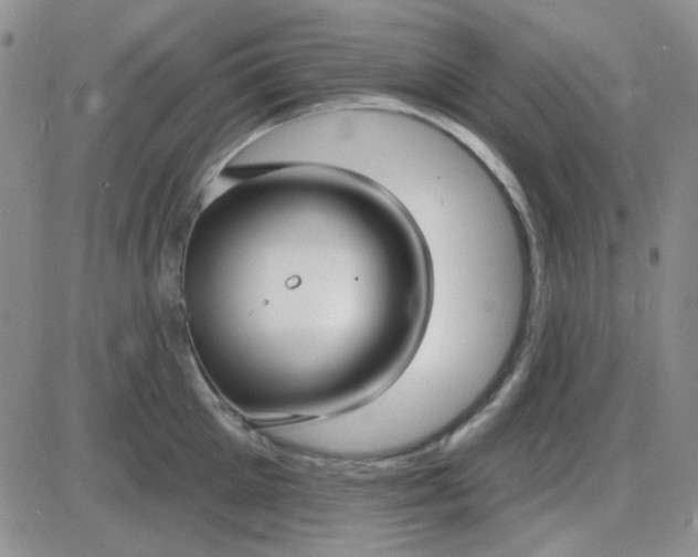 X0000085300905200703231855