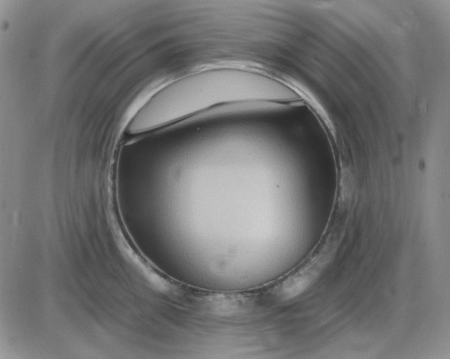 X0000085300906200703231855