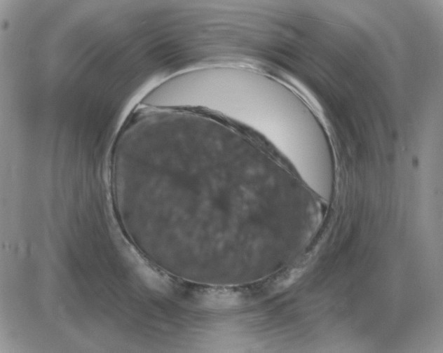 X0000085300907200703231855