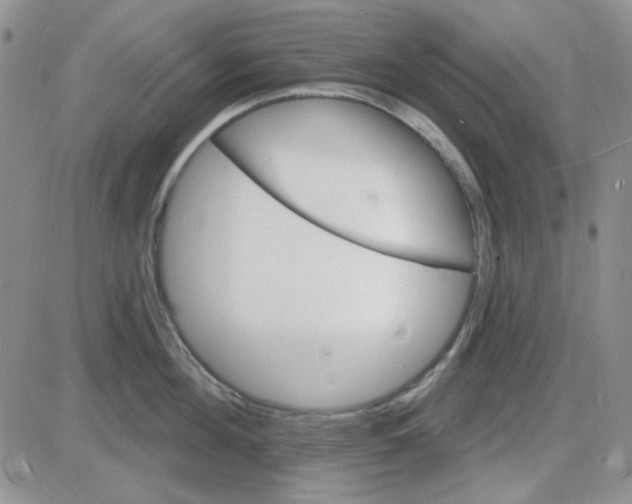 X0000085300908200703231855