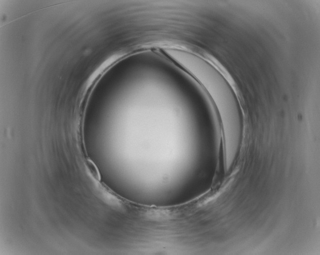 X0000085300909200703231855