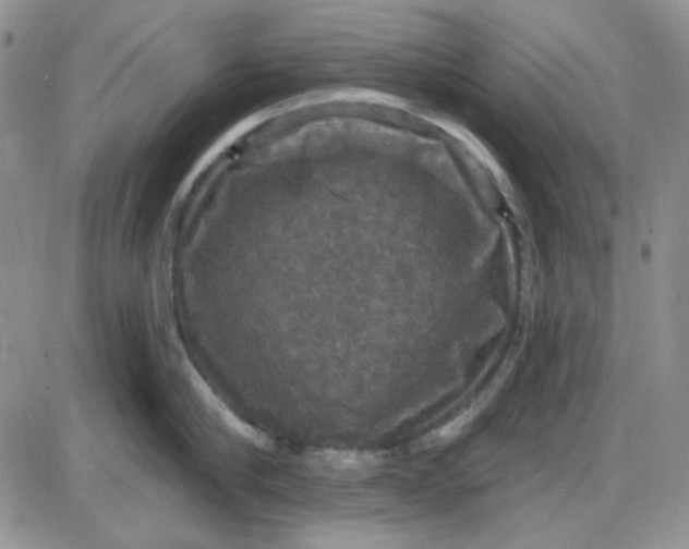 X0000085300910200703231855