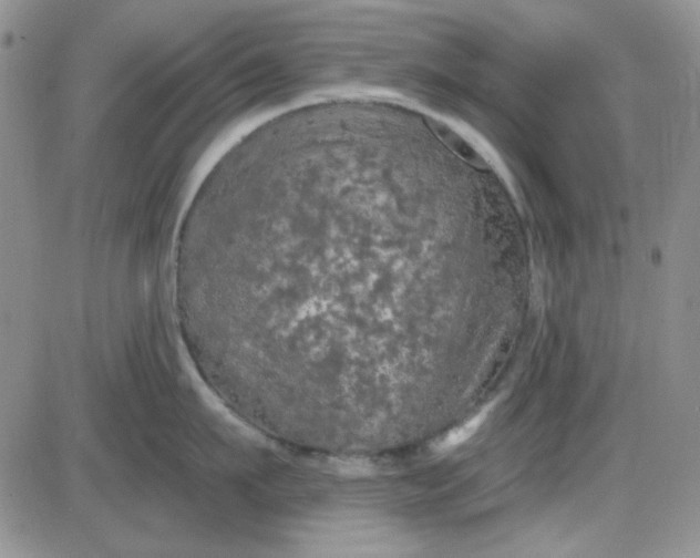 X0000085300911200703231855