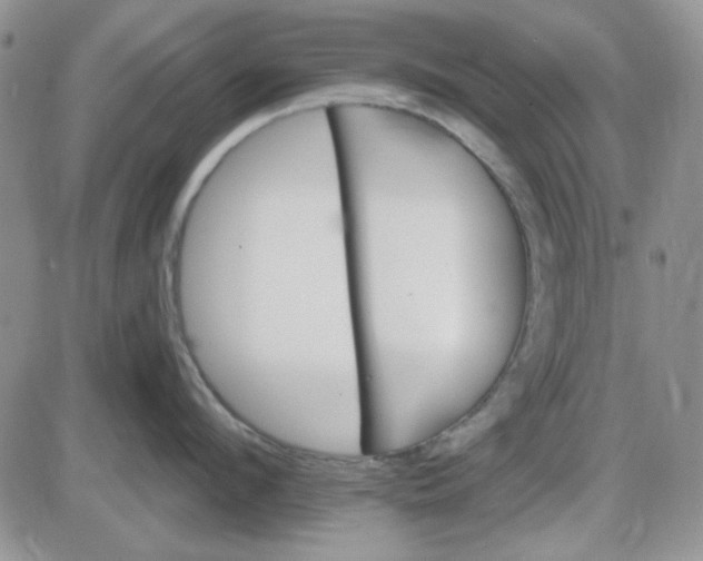 X0000085300912200703231855