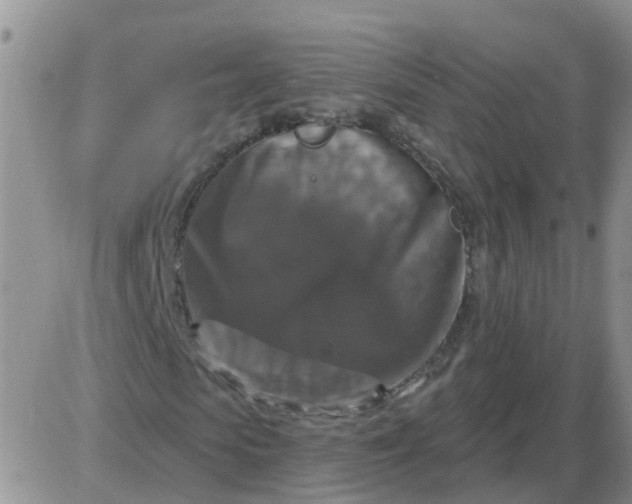 X0000085300913200703231854