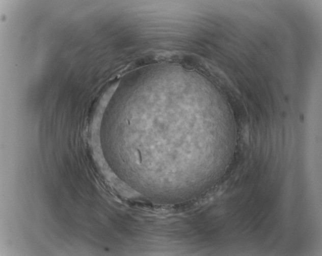 X0000085300914200703231854