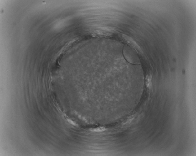 X0000085300915200703231854