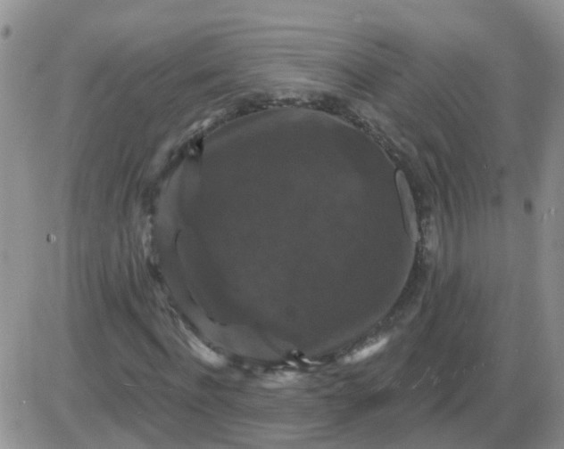 X0000085300916200703231854