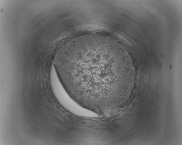 X0000085300917200703231854