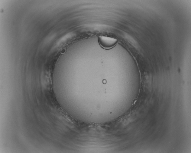 X0000085300918200703231854