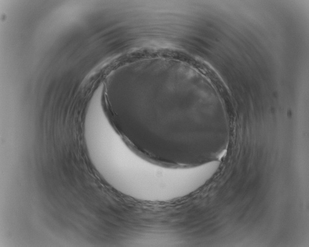 X0000085300919200703231854