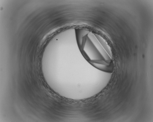 X0000085300920200703231854