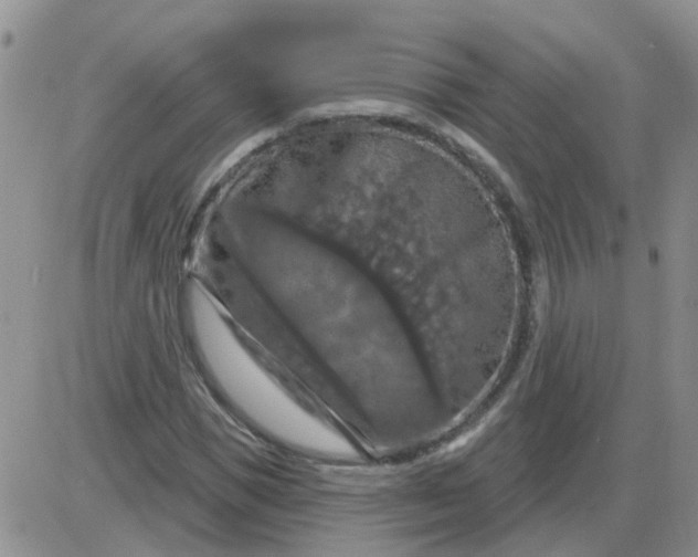 X0000085300921200703231854