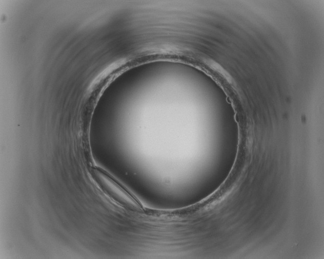 X0000085300922200703231854