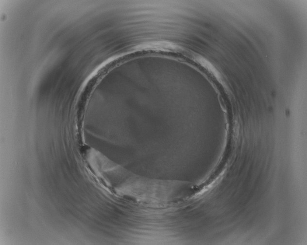 X0000085300923200703231854