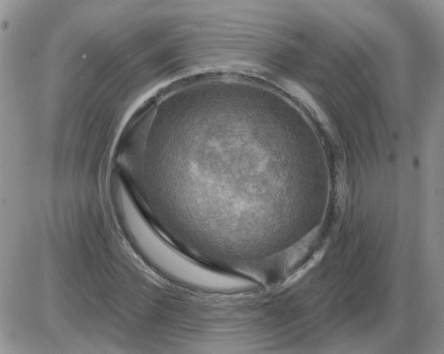 X0000085300924200703231854