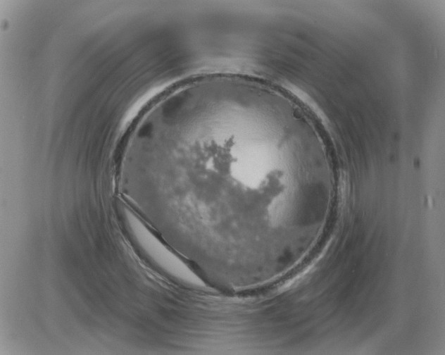 X0000085300925200703231854