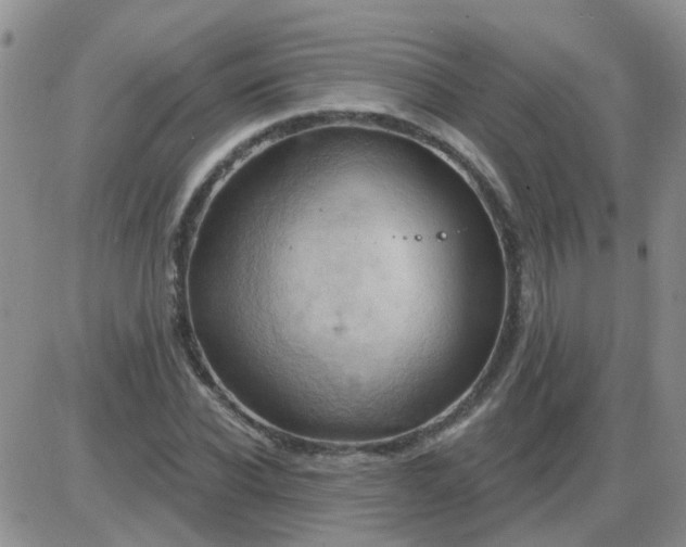 X0000085300926200703231854