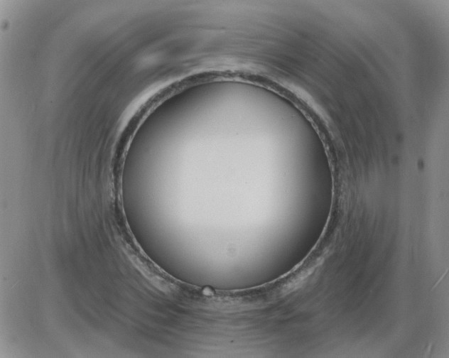 X0000085300927200703231854