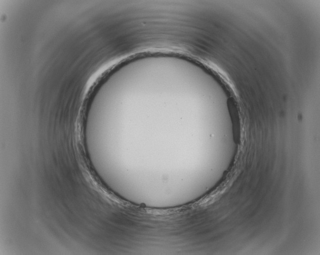 X0000085300928200703231854