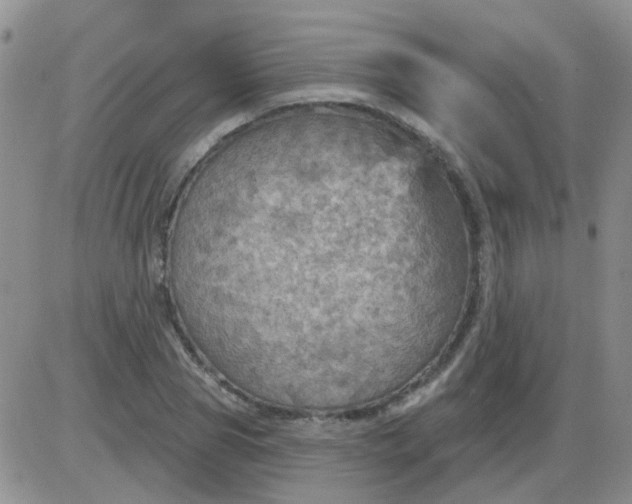 X0000085300929200703231854