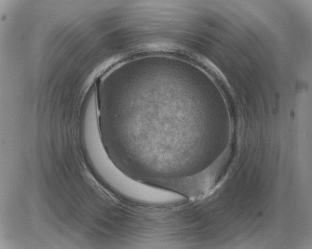 X0000085300930200703231854