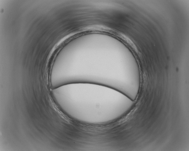 X0000085300931200703231854