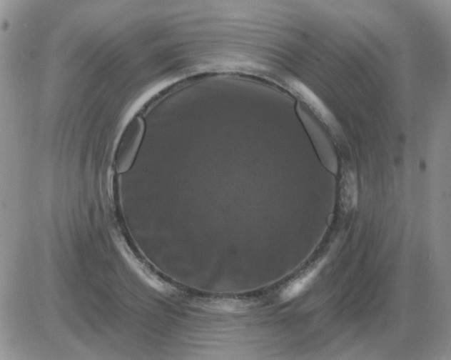 X0000085300932200703231854