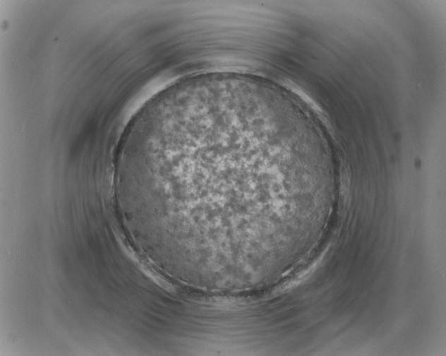 X0000085300933200703231854