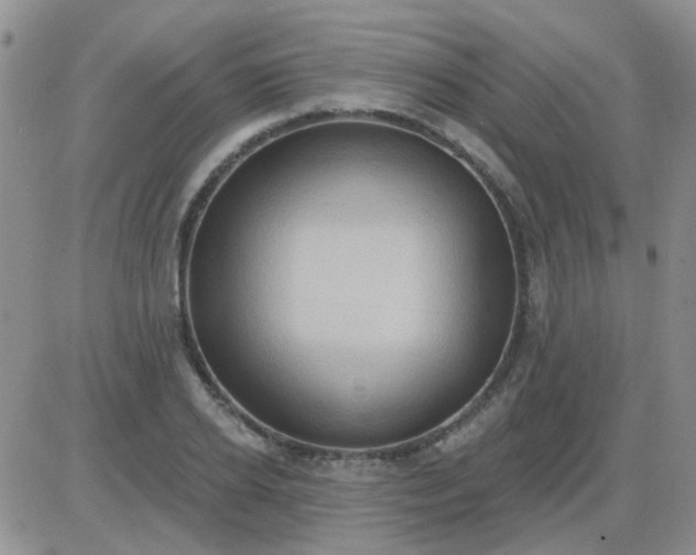 X0000085300934200703231854