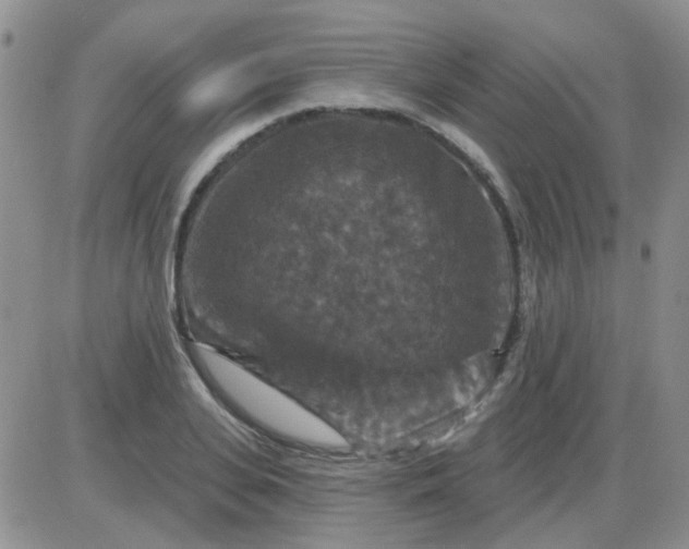 X0000085300935200703231854