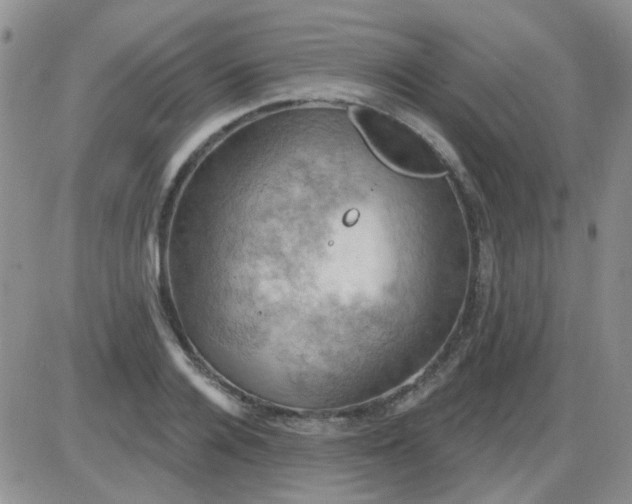 X0000085300936200703231854