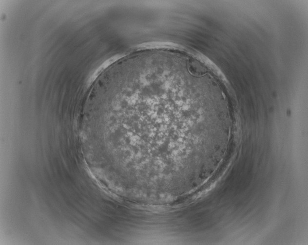 X0000085300937200703231854