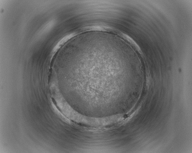 X0000085300938200703231854