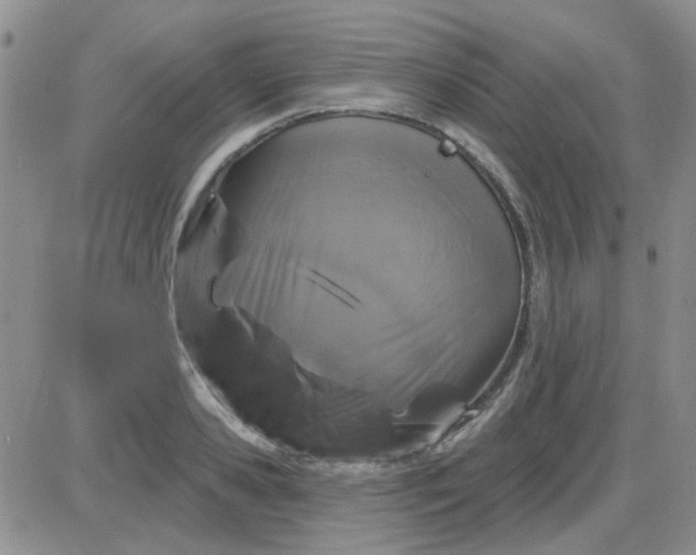 X0000085300941200703231855