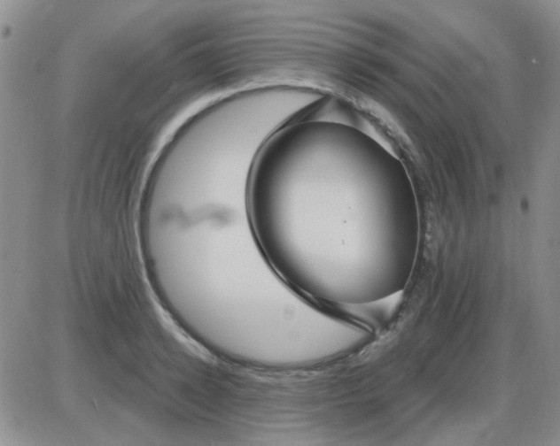 X0000085300942200703231855