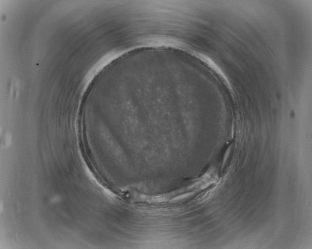 X0000085300943200703231855